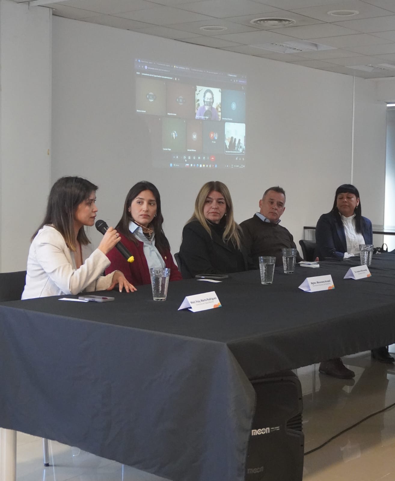 EL GOBIERNO DEL CHUBUT LANZÓ UNA CAPACITACIÓN VIRTUAL SOBRE SALUD MENTAL Y CRISIS